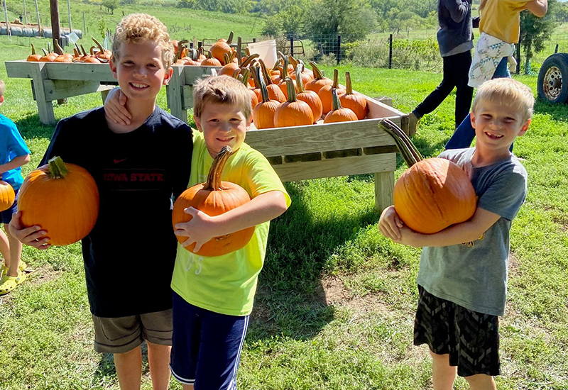 boys with pumpkins at fall family outing
