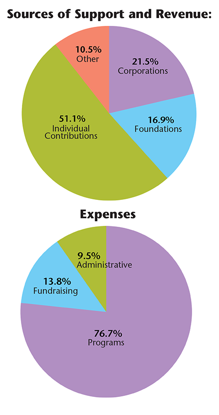 ccc revenue and expense pie charts