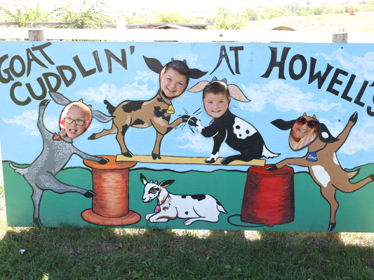 fall family outing family with faces in goat photo prop at howells